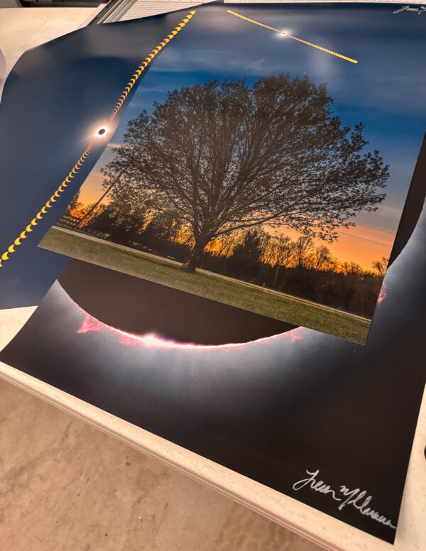 Solar Eclipse | 17"x22" Print | Prominence - Image 4