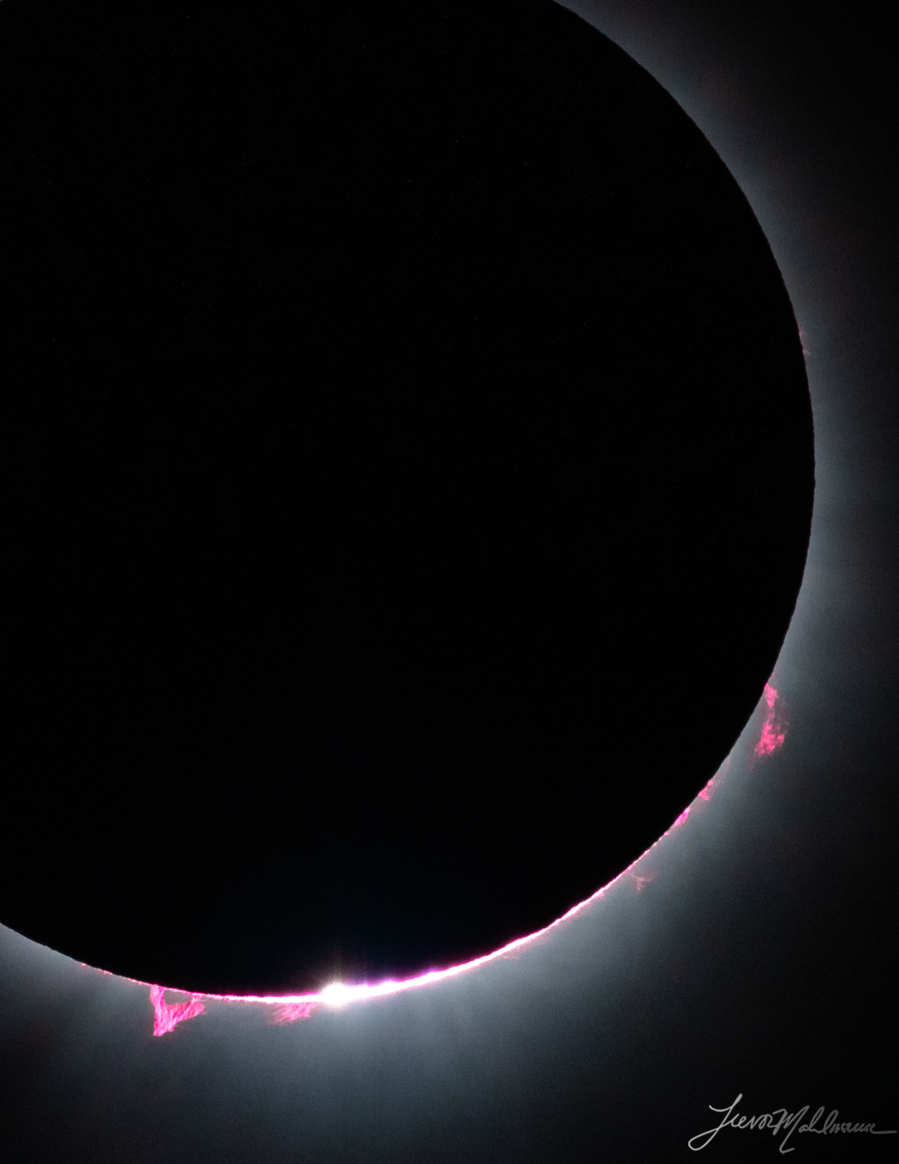 Solar Eclipse | 17"x22" Print | Prominence