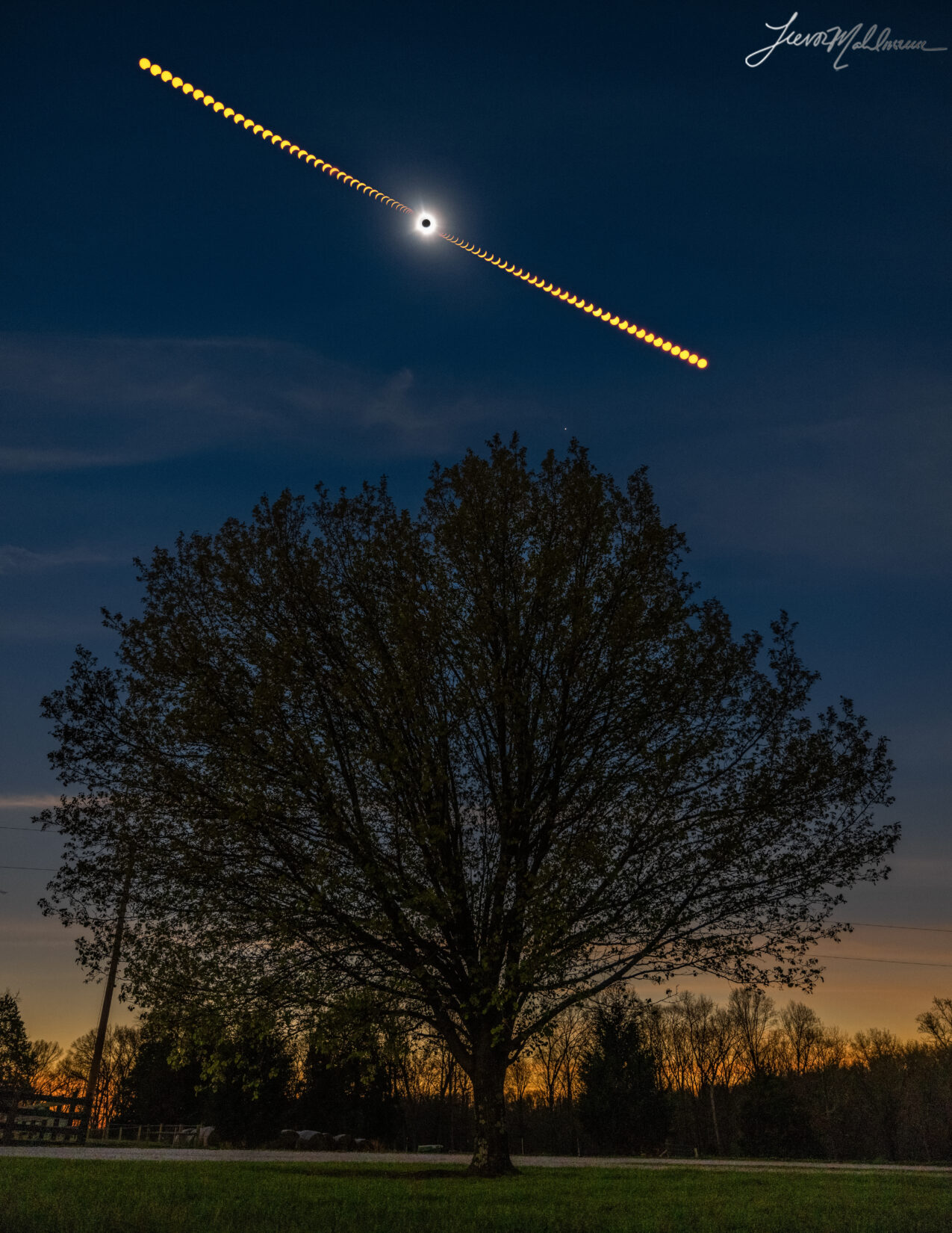 Solar Eclipse | 17x22" Print | Pear Tree