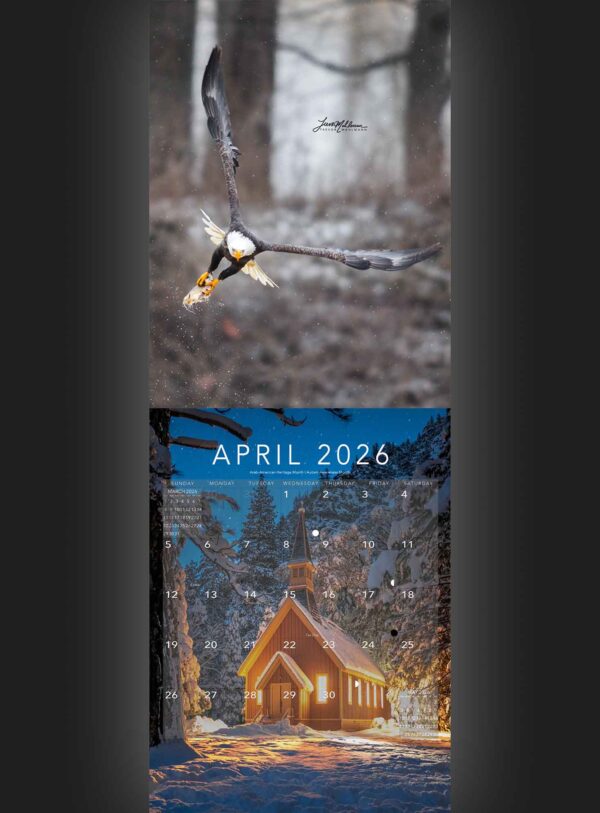 Trevor's 2026 Calendar: 10th Anniversary - Image 5
