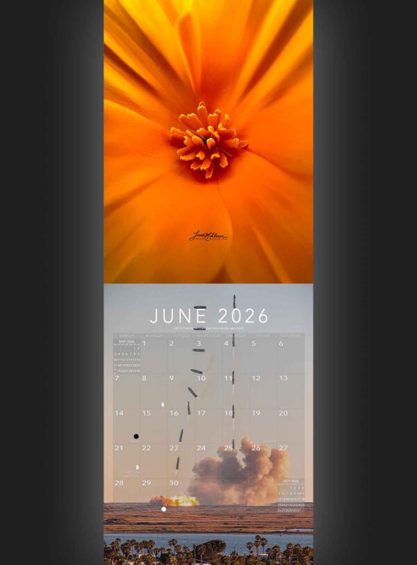 Trevor's 2026 Calendar: 10th Anniversary - Image 7